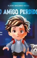 O amigo perdido